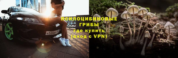 spice Няндома