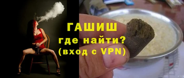 индика Новодвинск