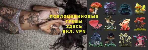 дурь Нязепетровск