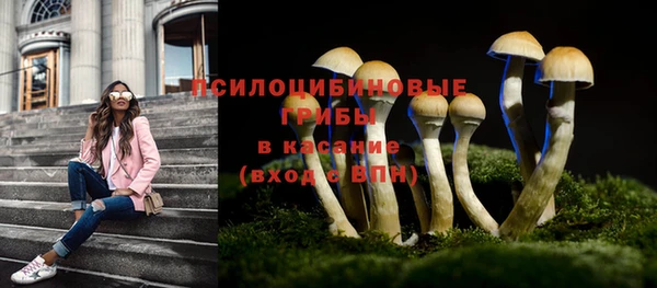 дурь Нязепетровск